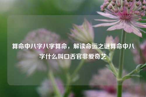 算命中八字八字算命，解读命运之谜算命中八字什么叫口舌官非爱奇艺