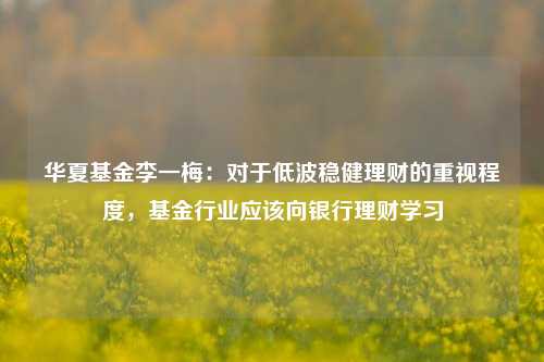 华夏基金李一梅：对于低波稳健理财的重视程度，基金行业应该向银行理财学习