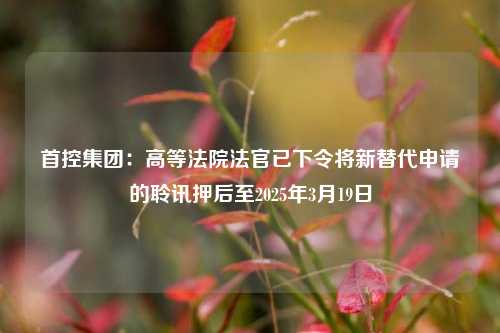 首控集团：高等法院法官已下令将新替代申请的聆讯押后至2025年3月19日