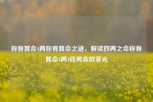 四两之命称骨算命解析