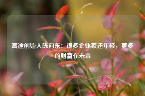 高途创始人陈向东：很多企业家还年轻，更多的财富在未来