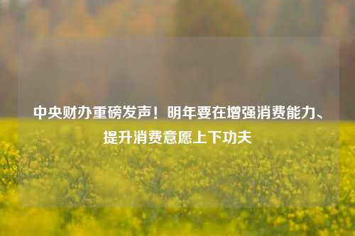 中央财办重磅发声！明年要在增强消费能力、提升消费意愿上下功夫