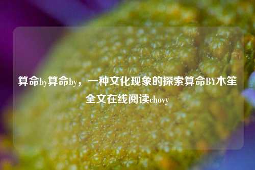 算命by算命by，一种文化现象的探索算命BY木笙全文在线阅读chovy