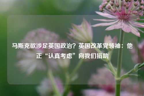 马斯克欲涉足英国政治？英国改革党领袖：他正“认真考虑”向我们捐助