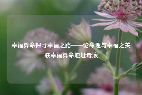 幸福算命探寻幸福之路——论命理与幸福之关联幸福算命地址毒液