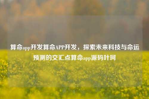 算命app开发