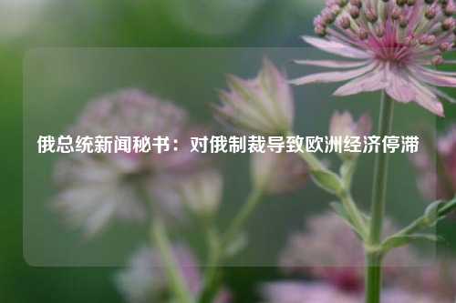 俄总统新闻秘书：对俄制裁导致欧洲经济停滞