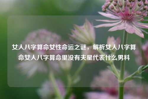 女性八字算命揭示命运之谜