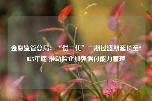 金融监管总局：“偿二代”二期过渡期延长至2025年底 推动险企加强偿付能力管理