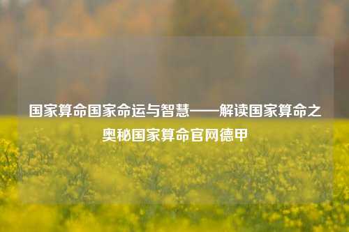 国家算命国家命运与智慧——解读国家算命之奥秘国家算命官网德甲