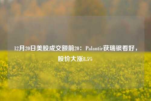 12月20日美股成交额前20：Palantir获瑞银看好，股价大涨8.5%