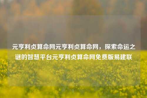 元亨利贞算命网元亨利贞算命网，探索命运之谜的智慧平台元亨利贞算命网免费版易建联