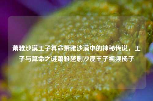 萧雅沙漠王子算命萧雅沙漠中的神秘传说，王子与算命之谜萧雅越剧沙漠王子视频杨子