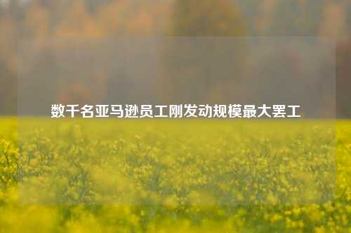 数千名亚马逊员工刚发动规模最大罢工