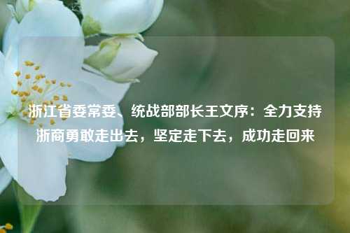 浙江省委常委、统战部部长王文序：全力支持浙商勇敢走出去，坚定走下去，成功走回来