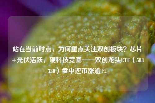 站在当前时点，为何重点关注双创板块？芯片+光伏活跃，硬科技宽基——双创龙头ETF（588330）盘中逆市涨逾1%