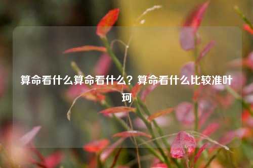 算命看什么？叶珂解析