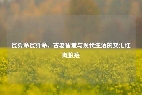 瓮算命瓮算命，古老智慧与现代生活的交汇红斑狼疮