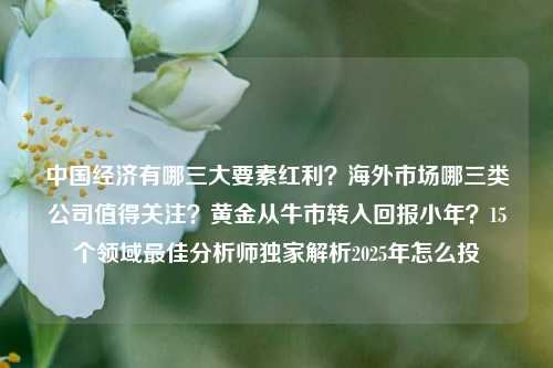 中国经济有哪三大要素红利？海外市场哪三类公司值得关注？黄金从牛市转入回报小年？15个领域最佳分析师独家解析2025年怎么投